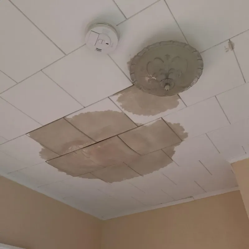 Ceiling Water Damage Repair in Knox, PA