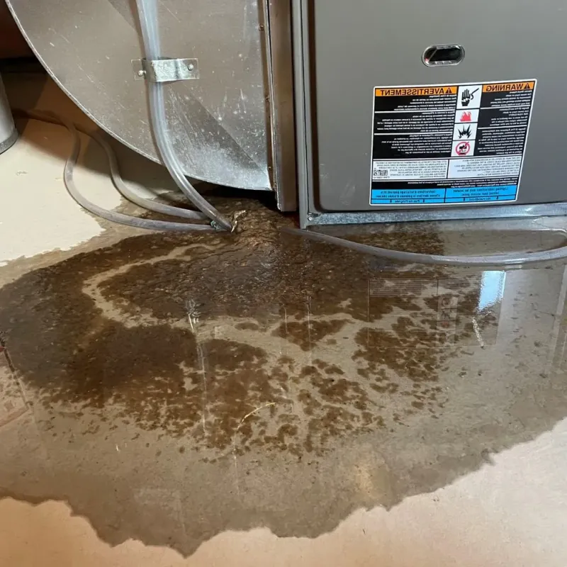 Pipe Burst and Leak Restoration in Knox, PA