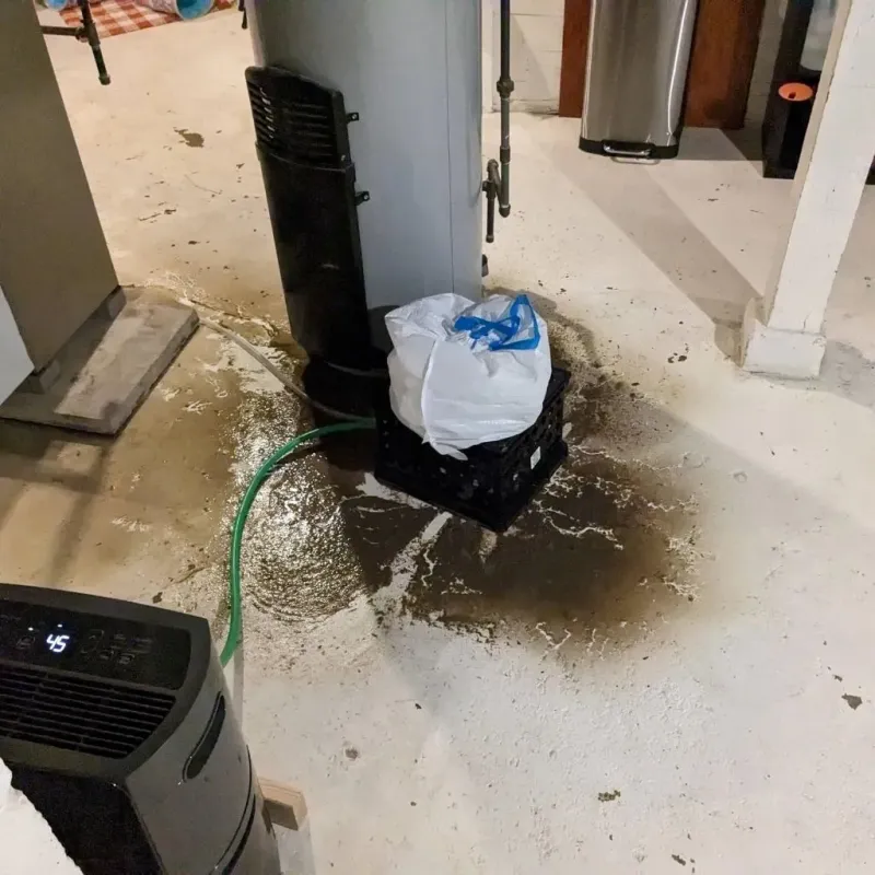 Sewage Backup Cleanup Service in Knox, PA